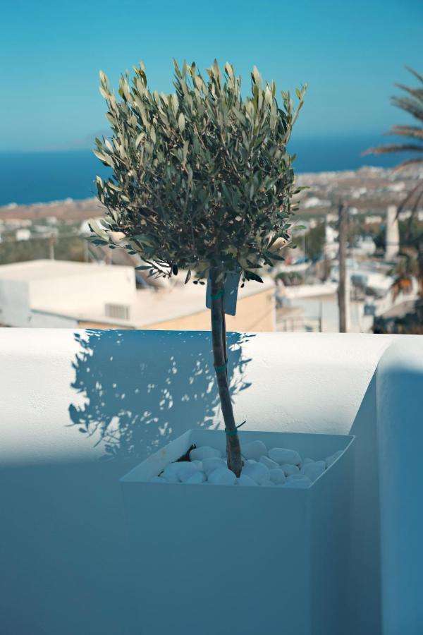 Hotel Eternity Santorini Fira (Santorini)